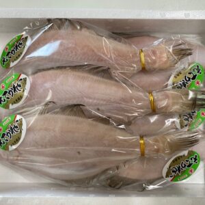 えてかれい（大）６尾セット　特売品！