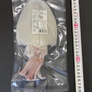 剣先いか（白いか）小1尾100g~120g