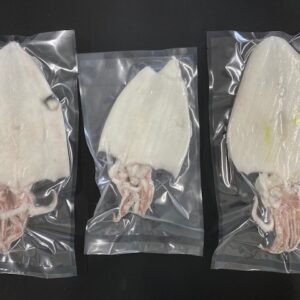 訳ありイカ　3尾セット
