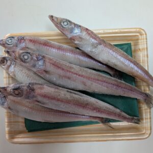 ニギス（60ｇ～80ｇ）（大）6尾セット
