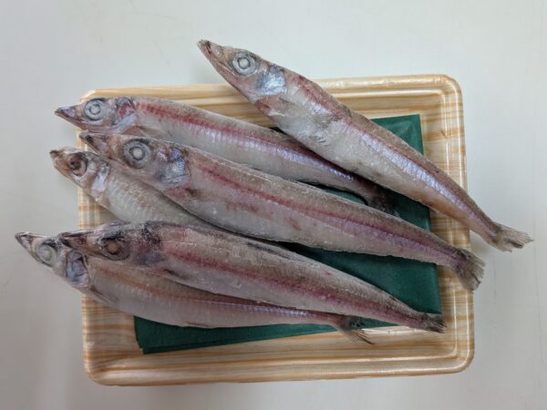 ニギス（60ｇ～80ｇ）（大）6尾セット