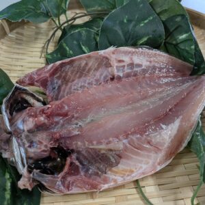 どんちっちアジ（大）１尾