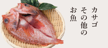 カサゴ・その他のお魚